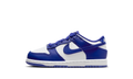 Dunk Low PS "Concord" FB9108 106