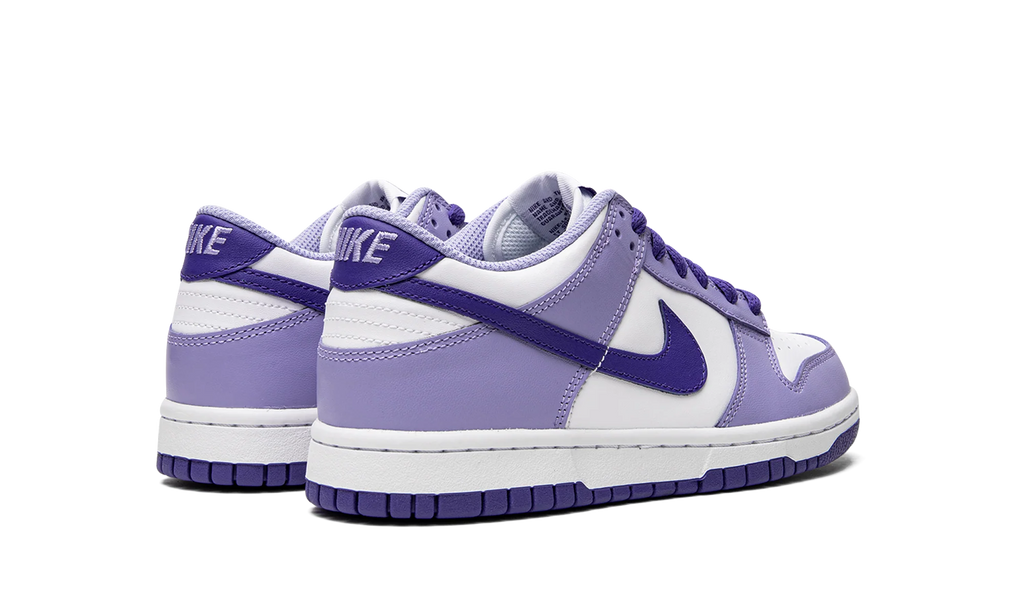Dunk Low GS "Blueberry" DZ4456 100