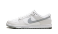 Dunk Low Retro "Summit White Light Smoke Grey" DV0831 106