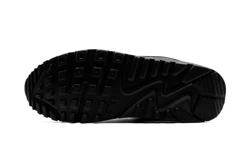 Air Max 90 "Iron Grey" CN8490 002
