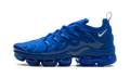 Air VaporMax Plus "Blue" HJ9148 480