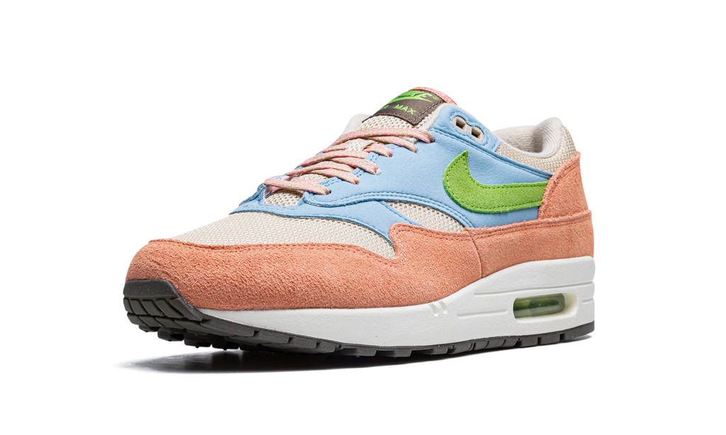 Air Max 1 "Light Madder Root" DV3196 800