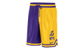 LA LAKERS COURTSIDE NBA GRAPHIC SHORTS "Purple" DR9350 728