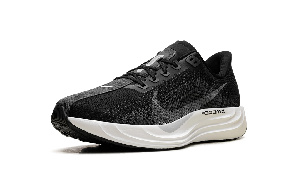 ZoomX Pegasus Plus "Black Pure Platinum" FQ7262 002