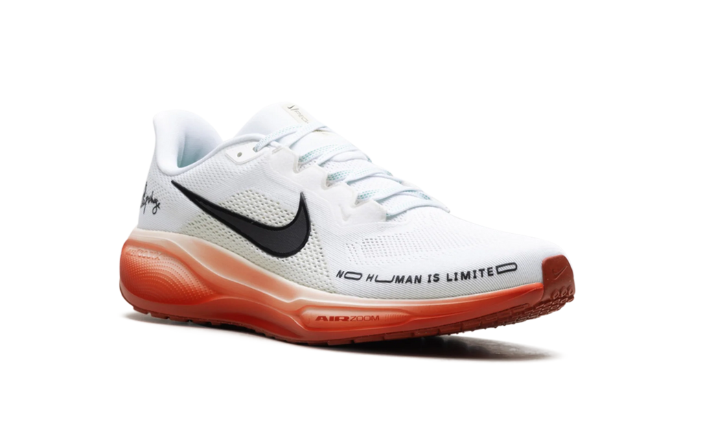 Air Zoom Pegasus 41 "Eliud Kipchoge" HJ7037 100