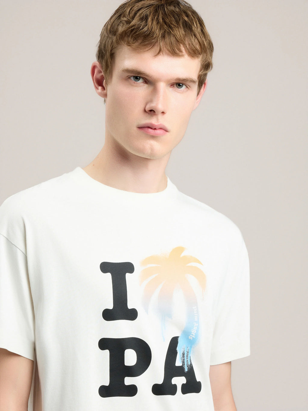I Love PA T-Shirt