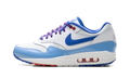 Air Max 1 "Atlanta Braves City Connect (2026)" IQ2932 100