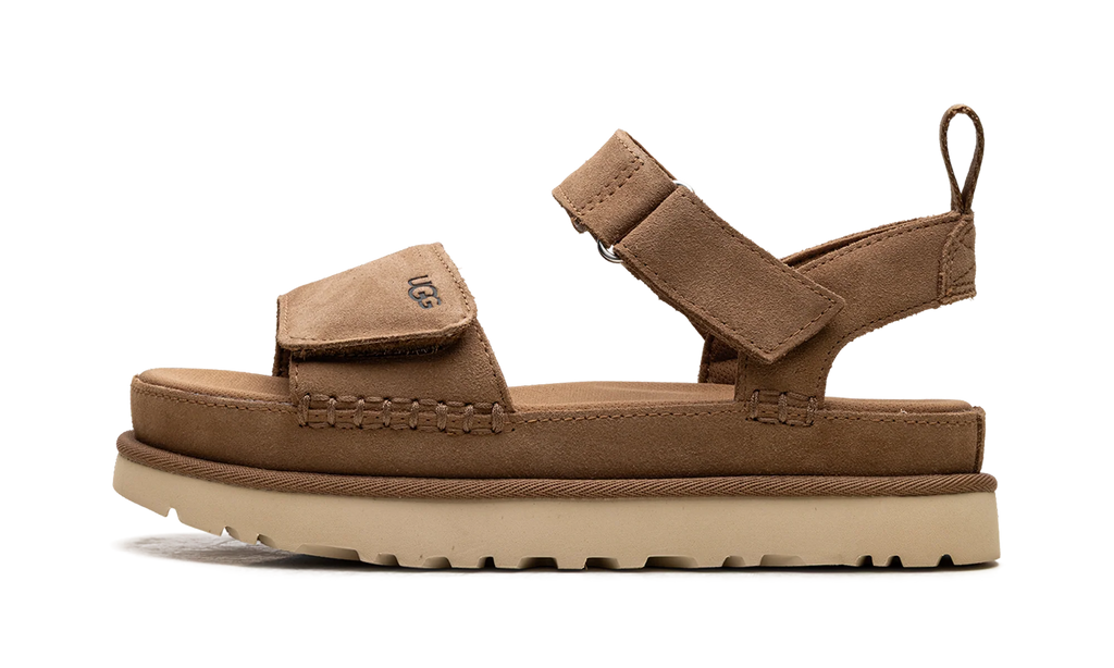 Goldenstar "CHESTNUT" 1136783