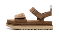 Goldenstar "CHESTNUT" 1136783