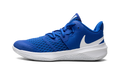 HYPERSPEED COURT MNS WMNS "Game Royal" CI2963 410