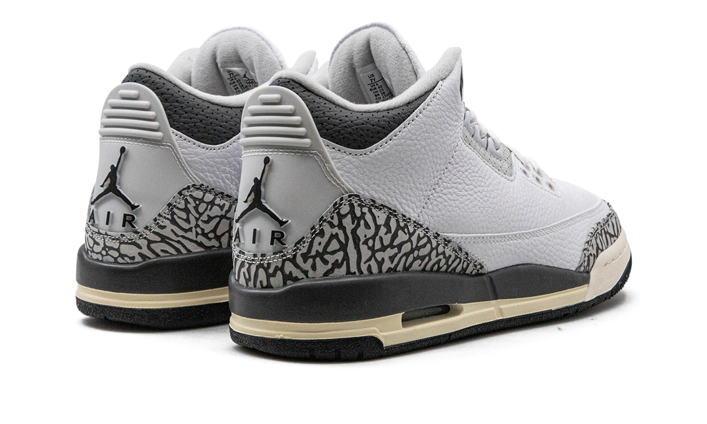 Air Jordan 3 GS "Hide N Sneak" DX6665 100
