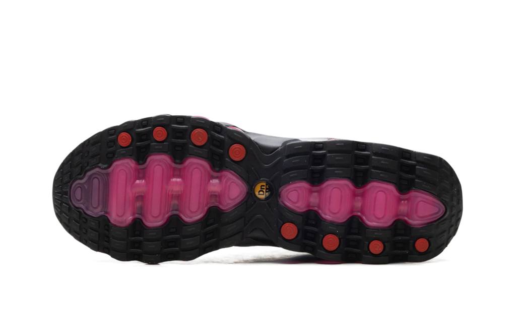 Air Max Dn8 "Smoke Grey / Pink Blast" IH4119 004