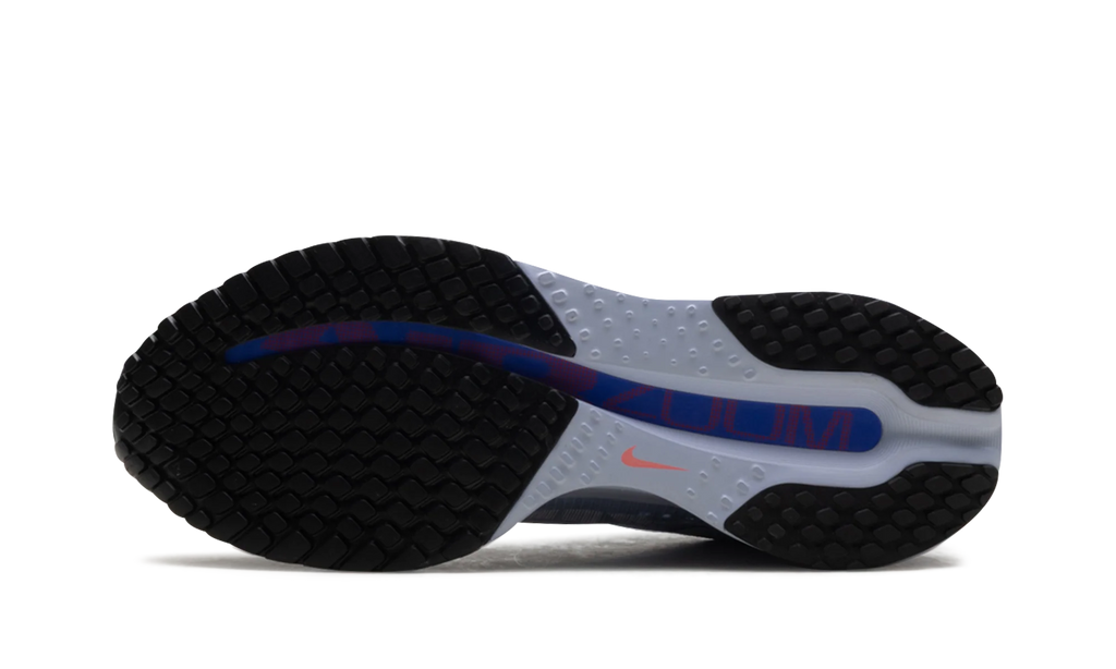 Pegasus Premium "Persian Violet" HQ2592 004