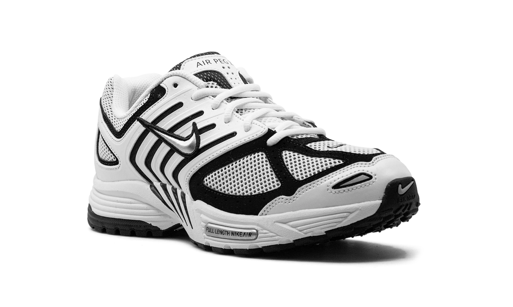 Air Pegasus 2K5 "White / Black" FJ1909 100