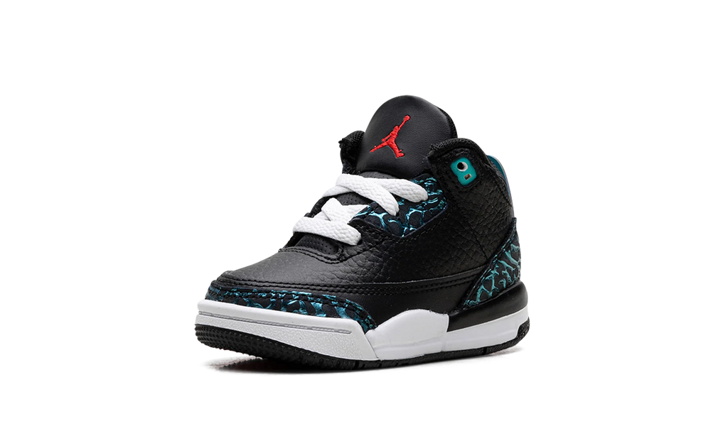 Air Jordan 3 TD "Moto" FV5439 001
