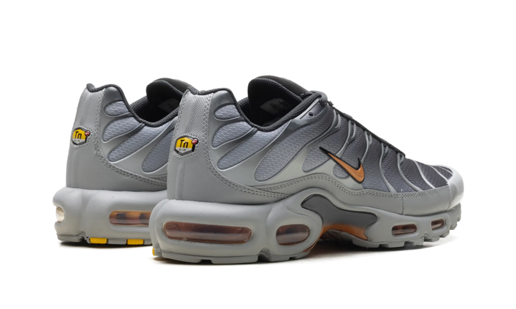 Air Max Plus "Light Smoke Grey Hot Curry" DM0032 037