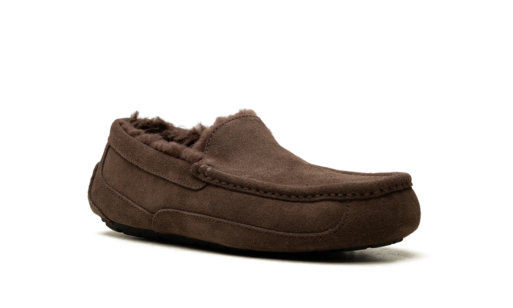 Ascot Slipper "Dusted Cocoa" 1101110 DDC