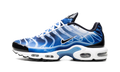Air Max Plus "Light Streaks" DZ3531 400