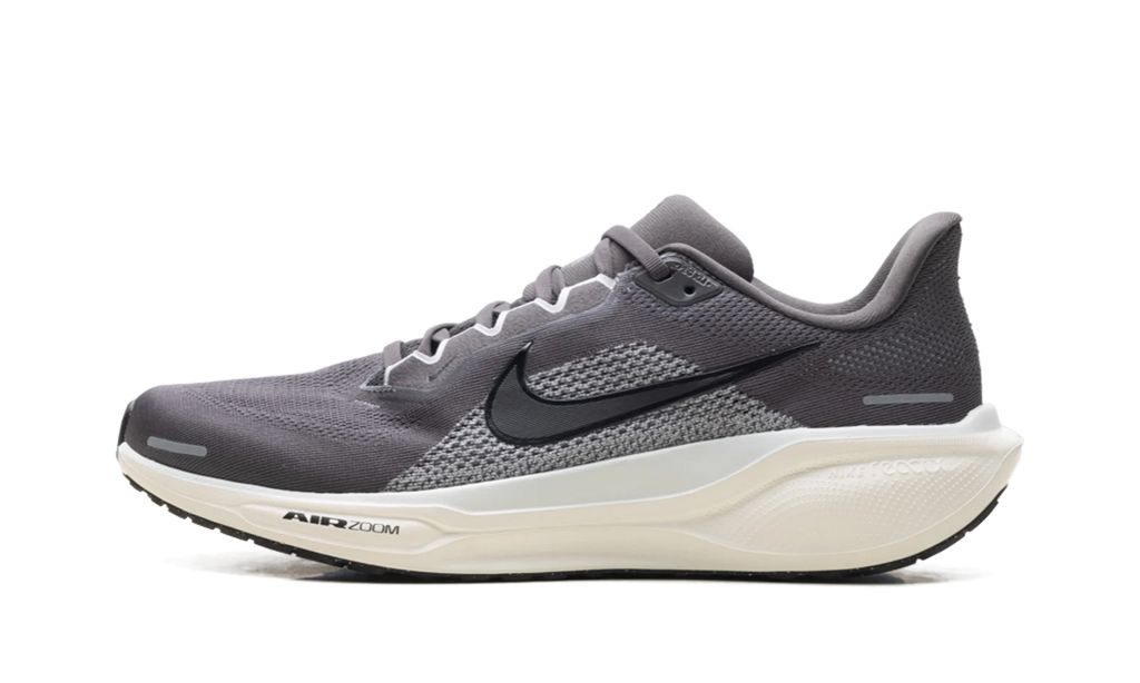 Air Zoom Pegasus 41 "Medium Ash Pure Platinum" FD2722 215