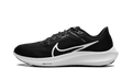 Air Zoom Pegasus 40 "Black White" DV3853 001