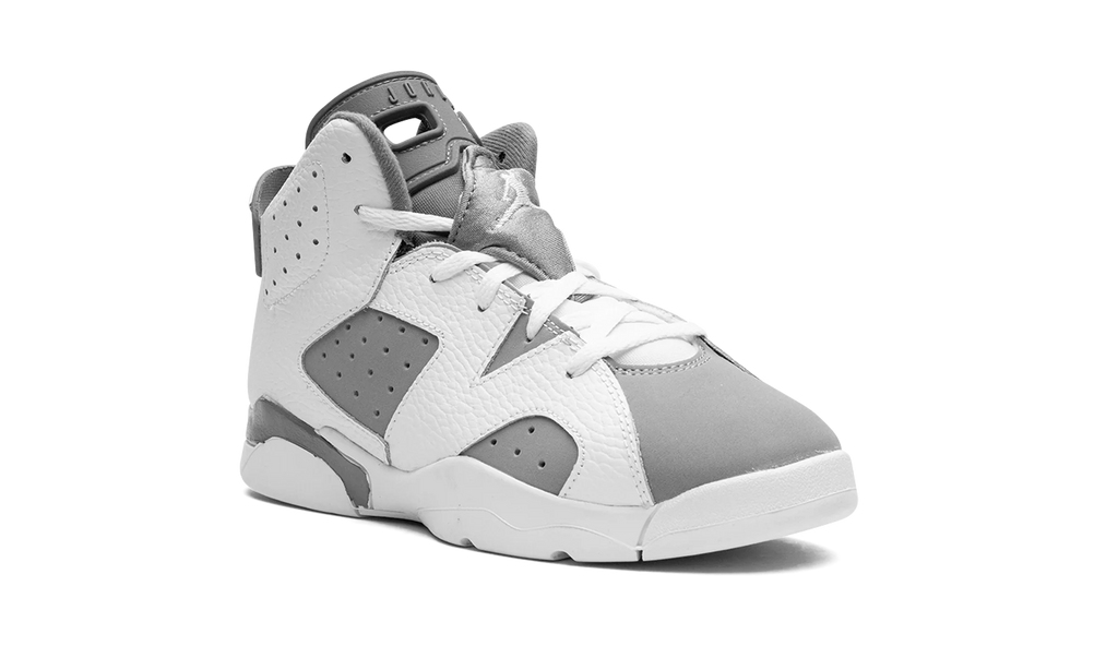 Air Jordan 6 PS "Cool Grey" DV3605 100