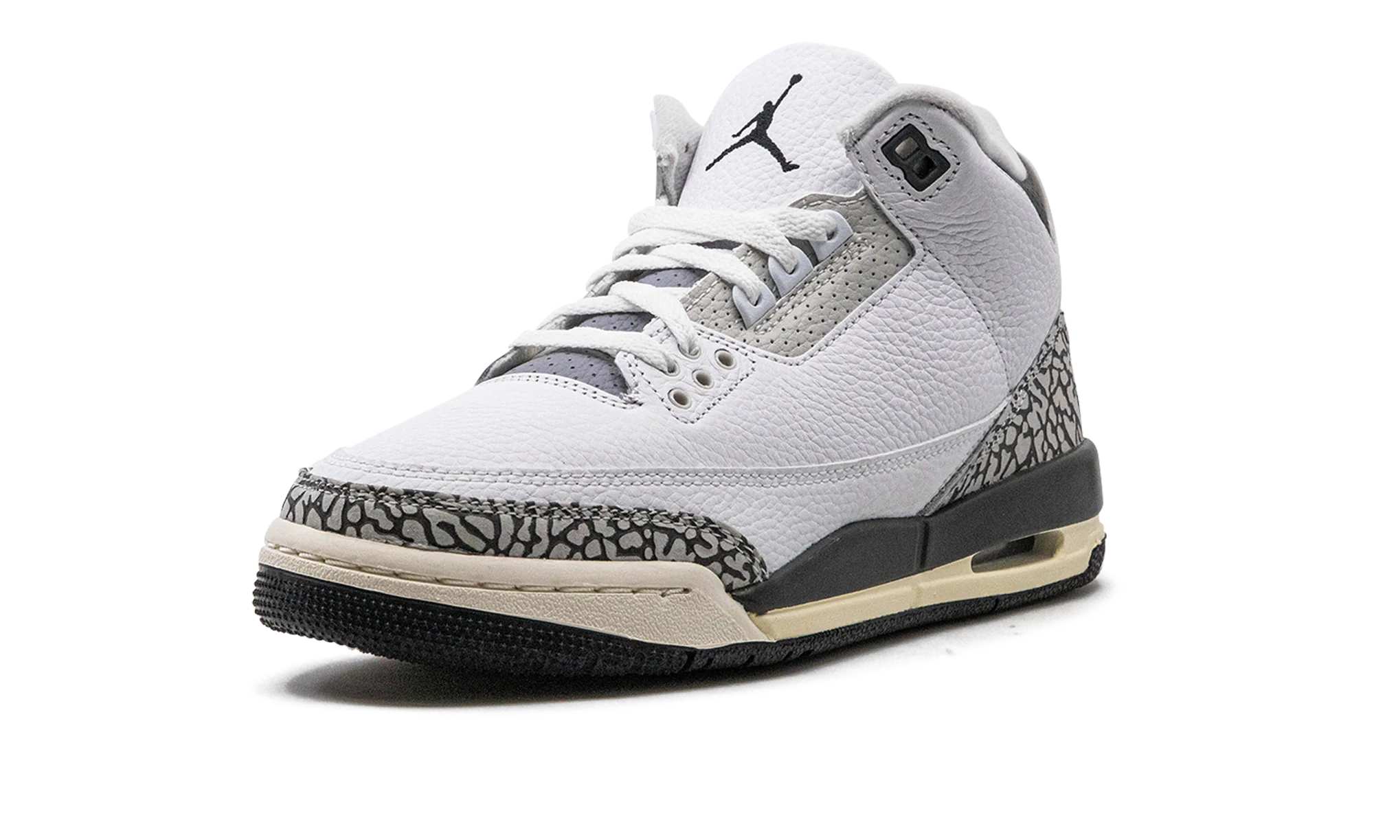 Air Jordan 3 GS "Hide N Sneak" DX6665 100