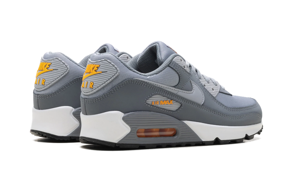 Air Max 90 "Cool Grey Sundial" HV6224 002