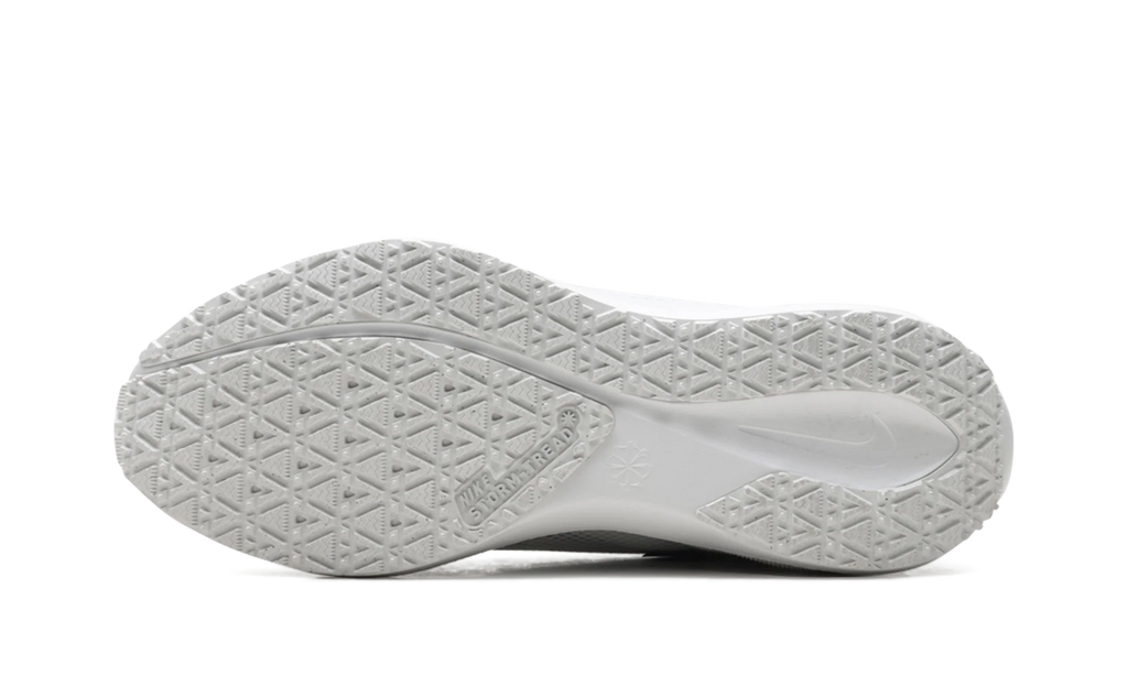 Air Zoom Pegasus 41 "Gore-Tex" FQ1356 101