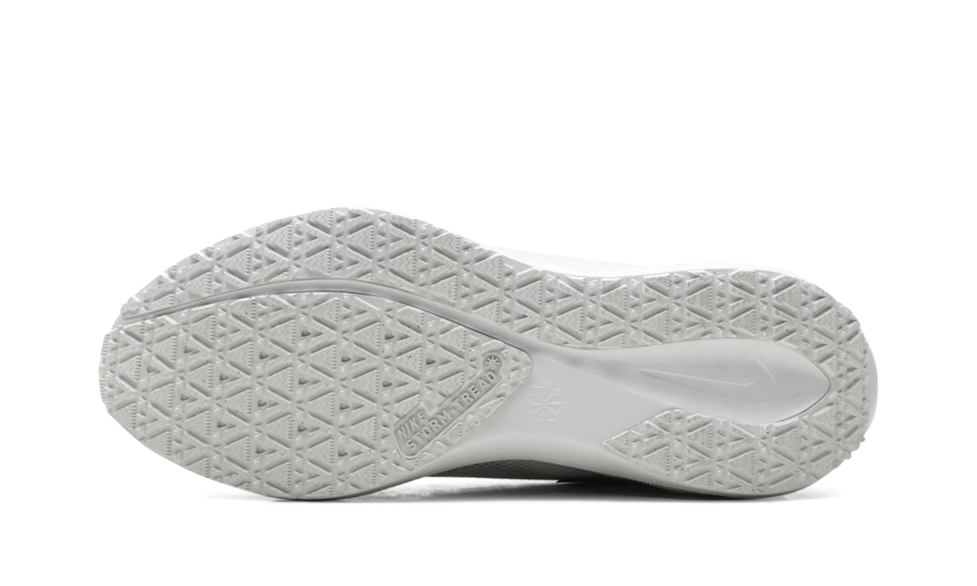 Air Zoom Pegasus 41 "Gore-Tex" FQ1356 101