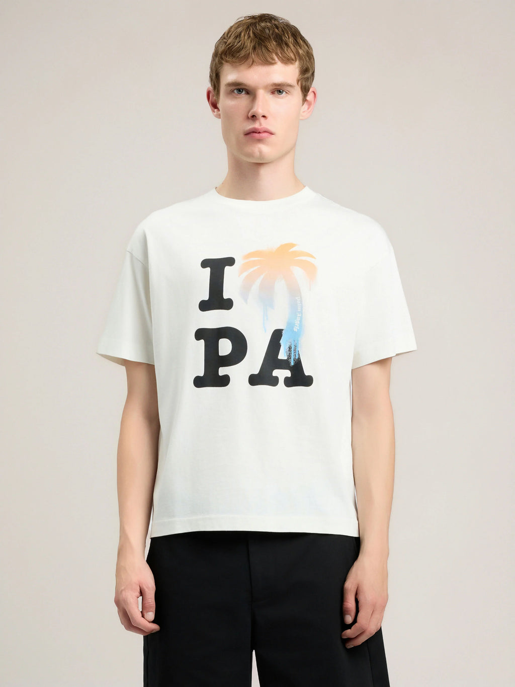 I Love PA T-Shirt