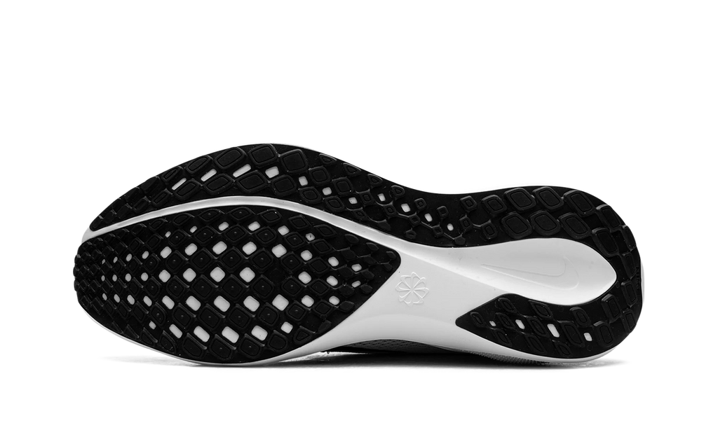 Air Zoom Pegasus WMNS "White / Black" HF1538 100