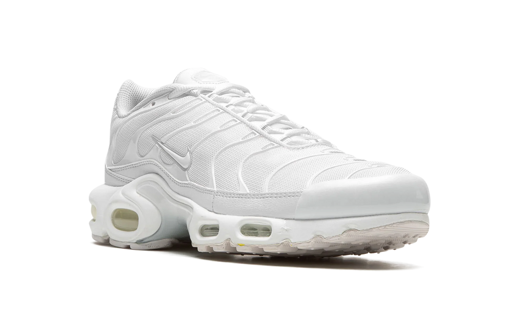 AIR MAX PLUS WMNS "Pure Platinum" DM2362 100