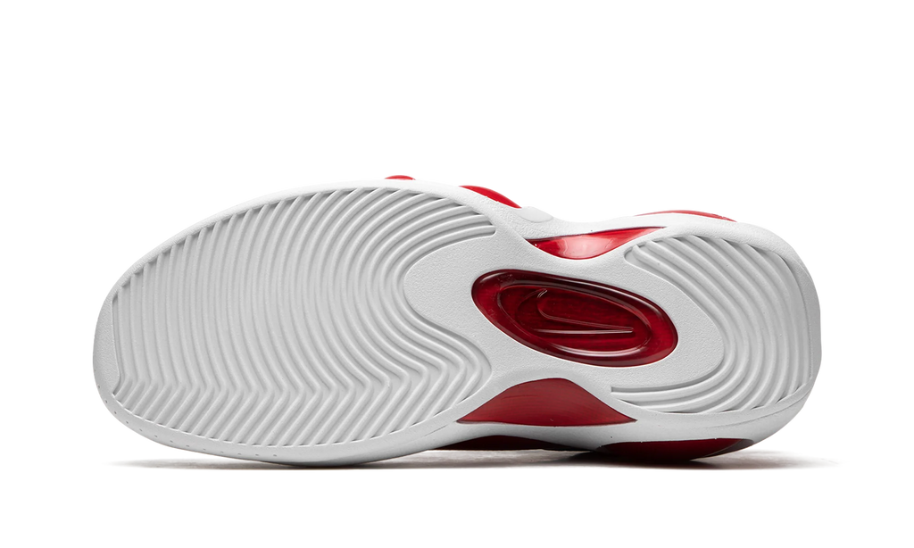 Air Zoom Flight 95 "True Red" DX1165 100