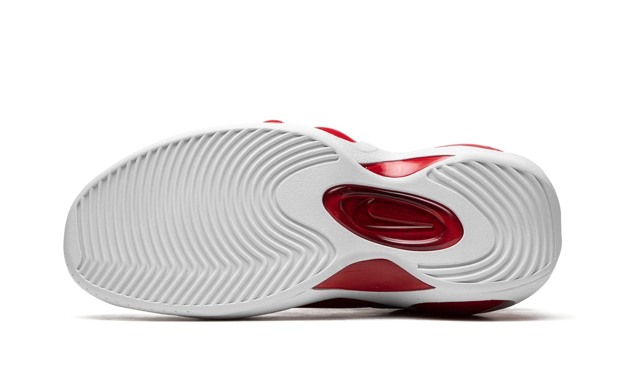 Air Zoom Flight 95 "True Red" DX1165 100