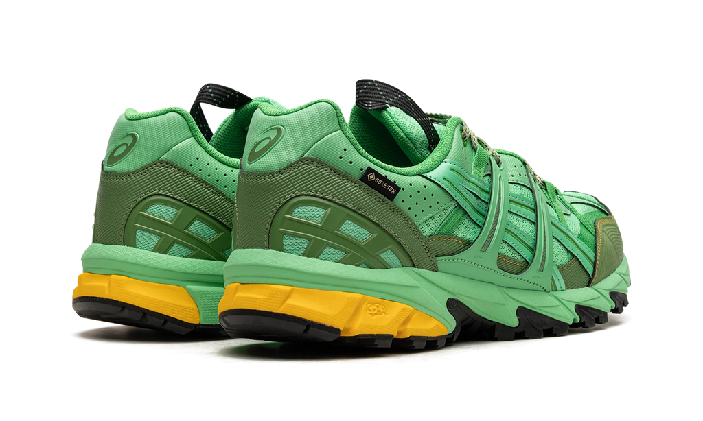 HS4-S Gel-Sonoma 15-50 Gore-TEX "Spring Bouquet" 1201A440 300