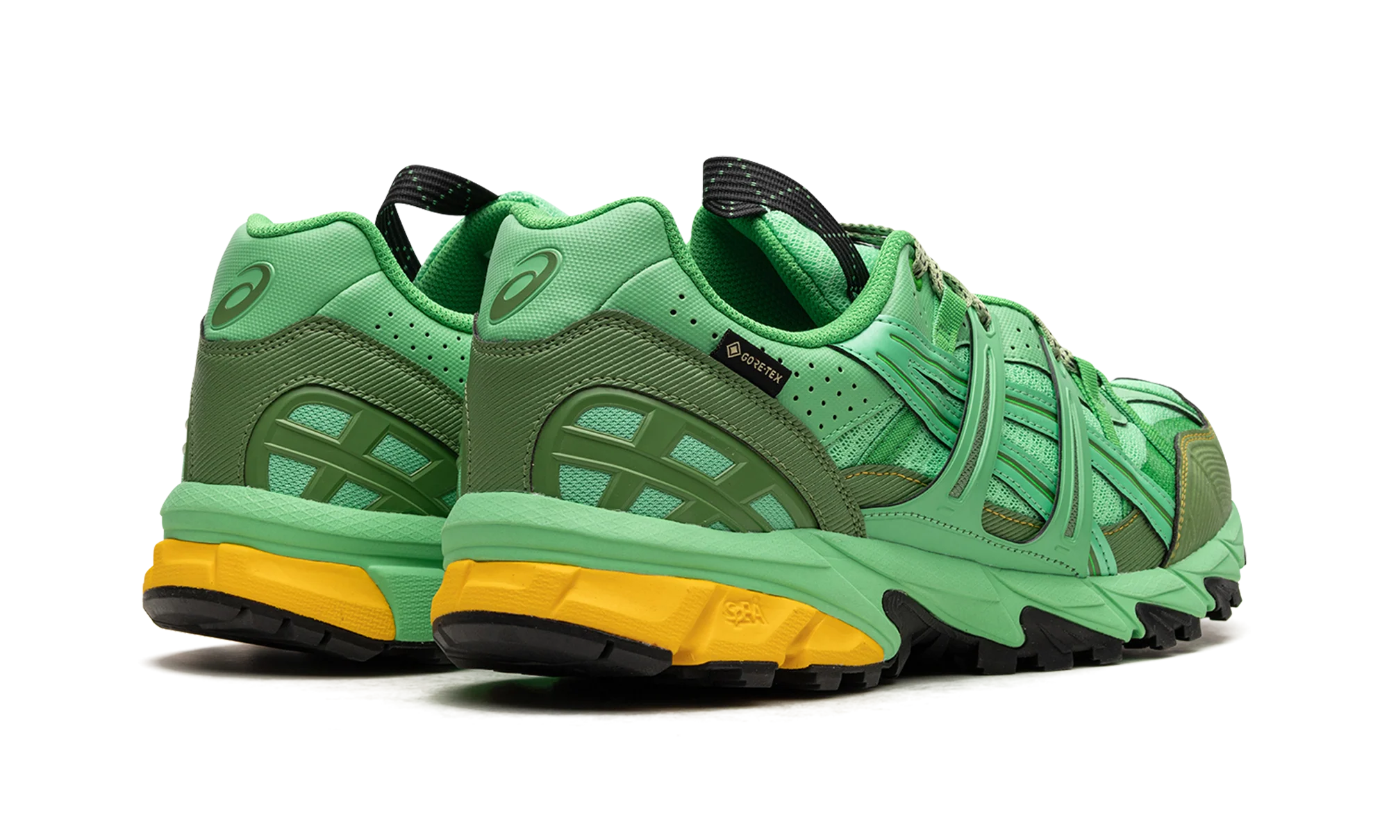 HS4-S Gel-Sonoma 15-50 Gore-TEX "Spring Bouquet" 1201A440 300