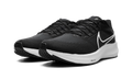 Air Zoom Pegasus 39 "Black/White" DH4071 001