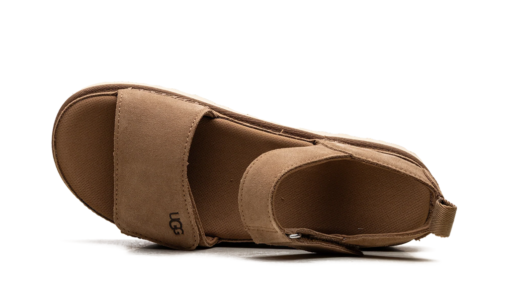 Goldenstar "CHESTNUT" 1136783
