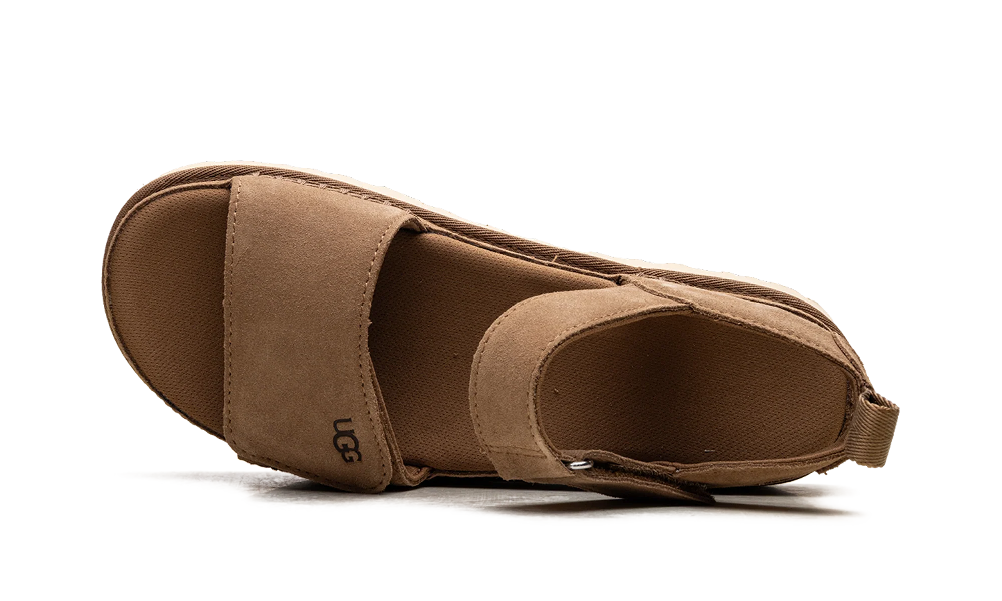Goldenstar "CHESTNUT" 1136783