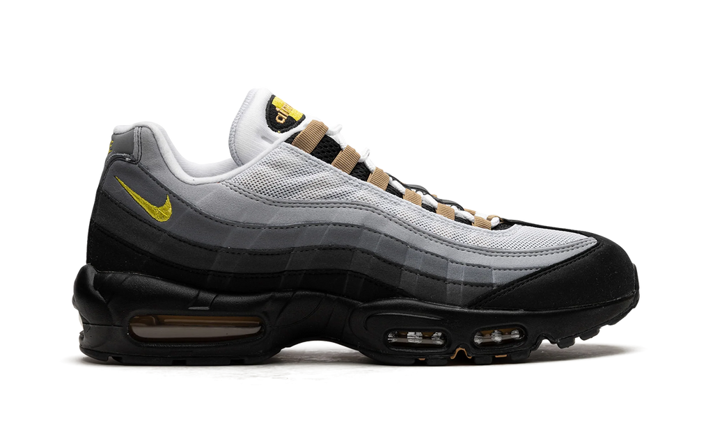 Air Max 95 "ICONS" DX4236 100