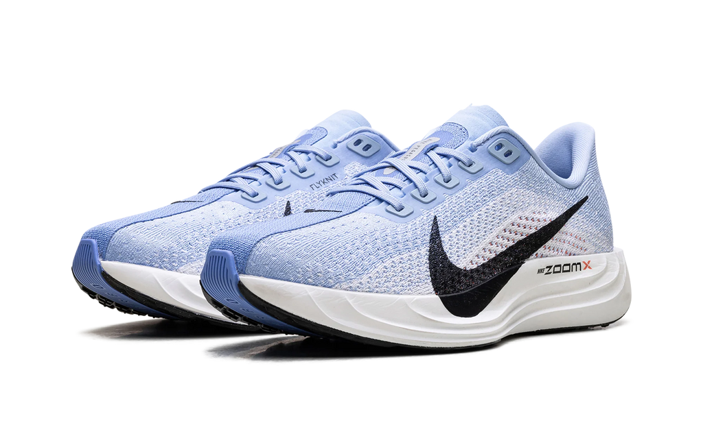 Pegasus Plus WMNS "Aluminum/Black-Royal Pulse" FQ7261 402