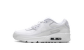 Air Max 90 GS "White Metallic Silver" HF6358 102