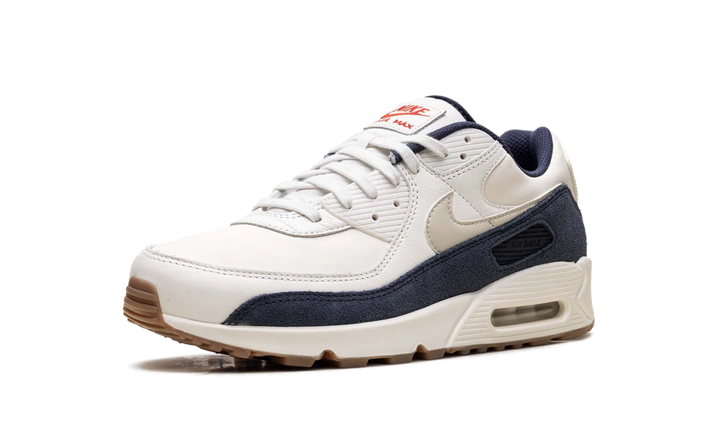 Air Max 90 "Rare Air - Pale Ivory" IH4379 110