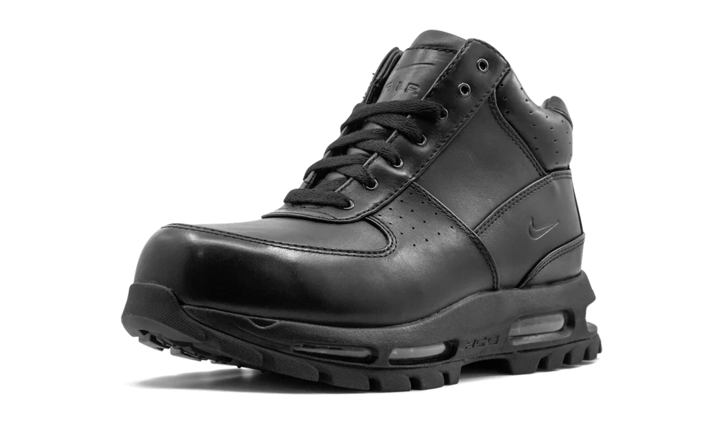 Air Max Goadome "Black" 865031 009