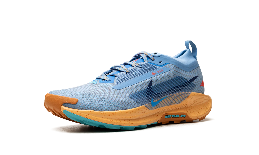 Pegasus Trail 5 Gore-Tex "Blue Beyond" FQ0908 400