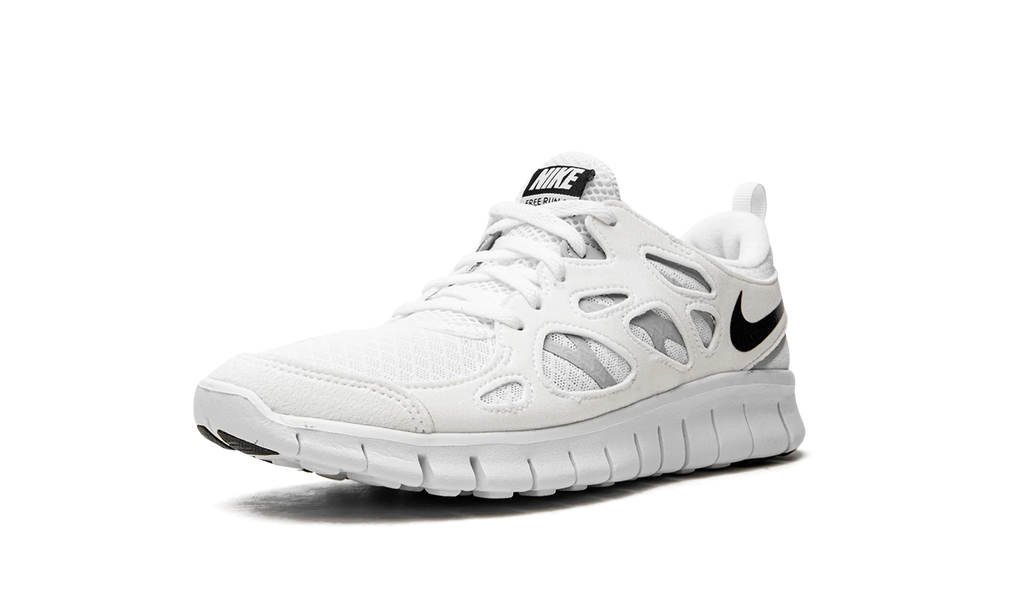 Free Run 2 (GS) "Wolf Grey" DD0163 100