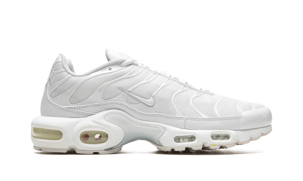 AIR MAX PLUS WMNS "Pure Platinum" DM2362 100