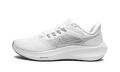 Pegasus 39 "Grey Fog" DH4071 100