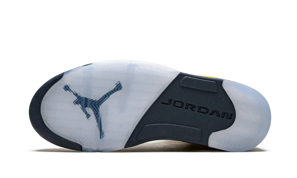 Air Jordan 5 Retro SE "Michigan" CQ9541 704