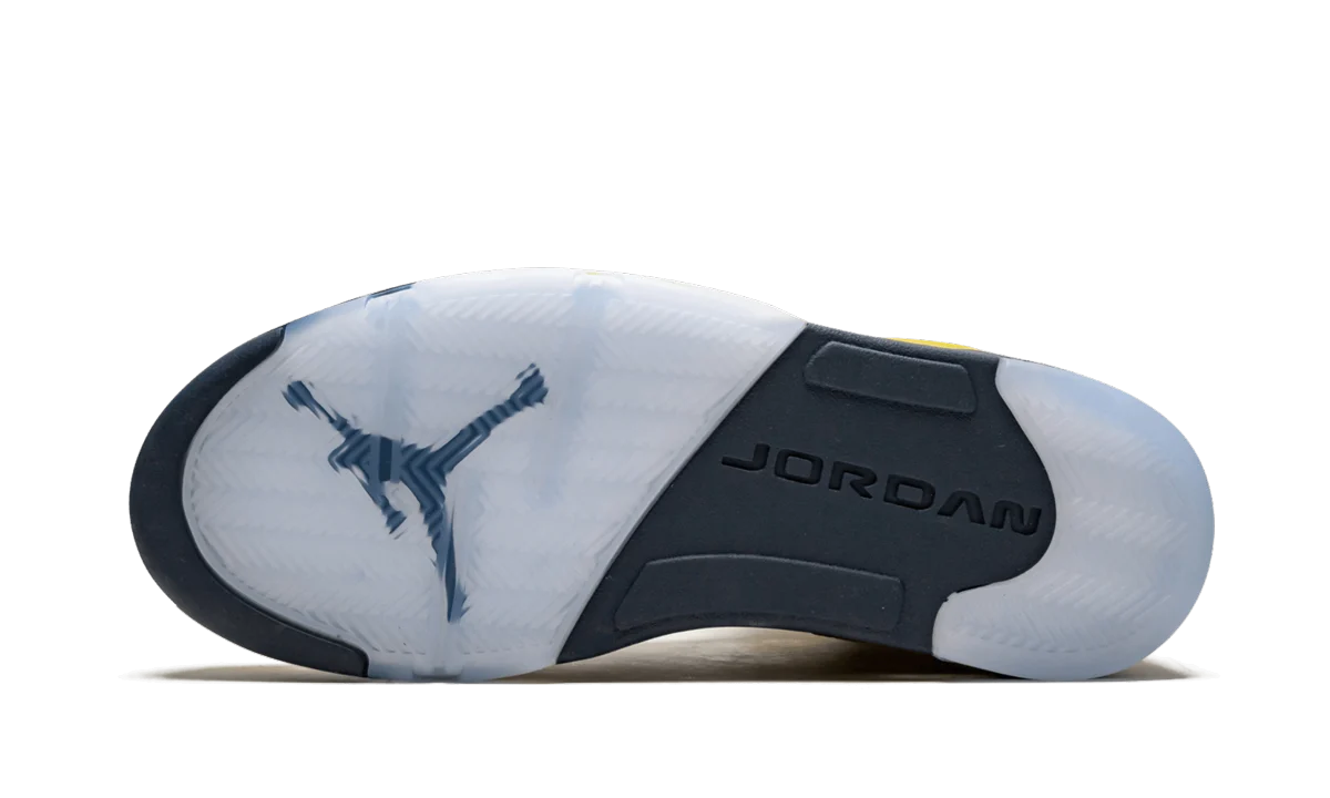 Air Jordan 5 Retro SE "Michigan" CQ9541 704
